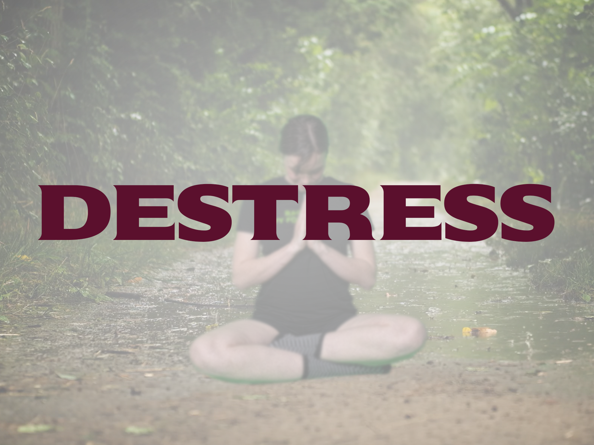 thumbnailOfDestressVideo